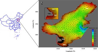 Numerical study of the water-sediment regulation scheme (WSRS) impact on suspended sediment transport in the Yellow River Estuary